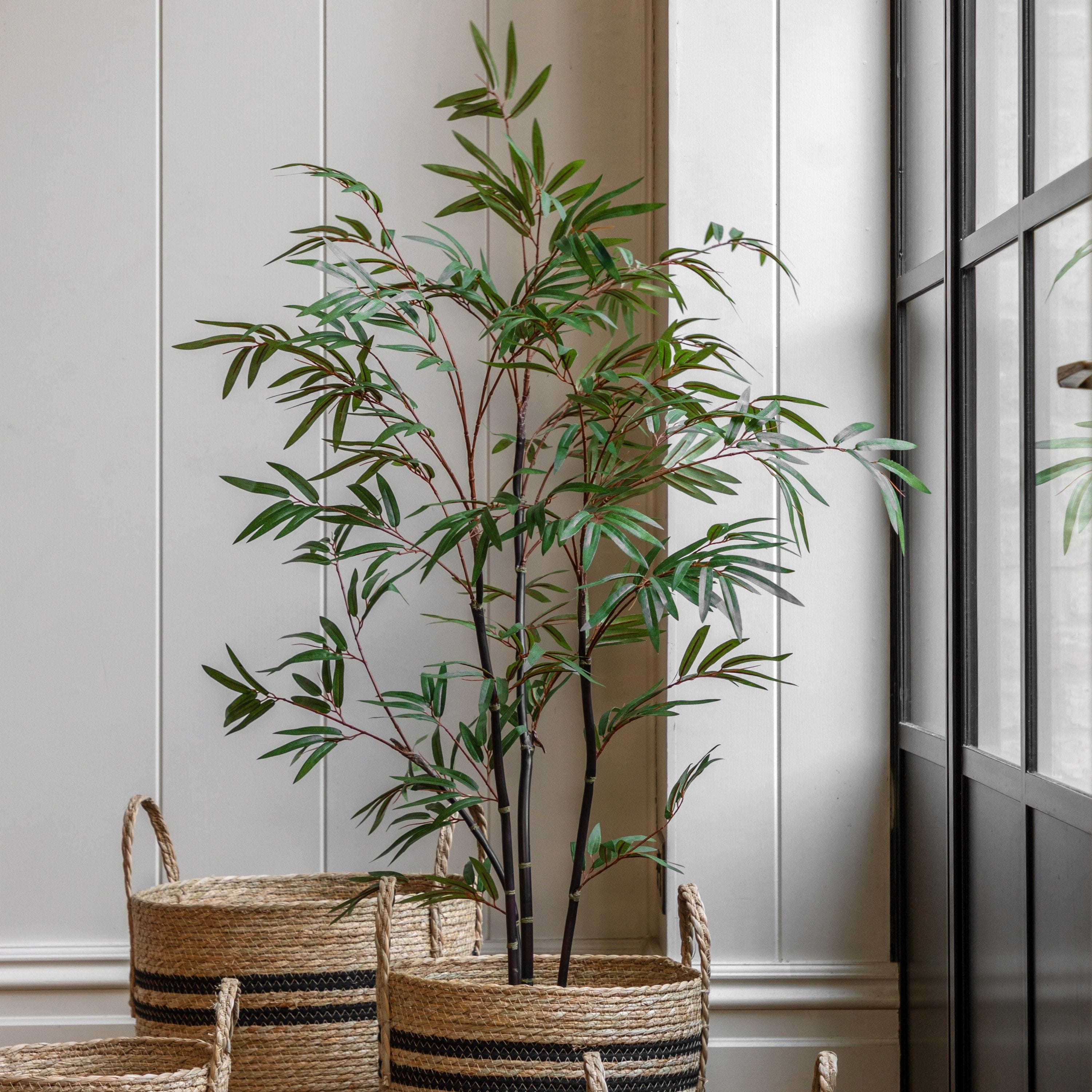 potted bamboo plants uk Potted Bamboo Tree Small