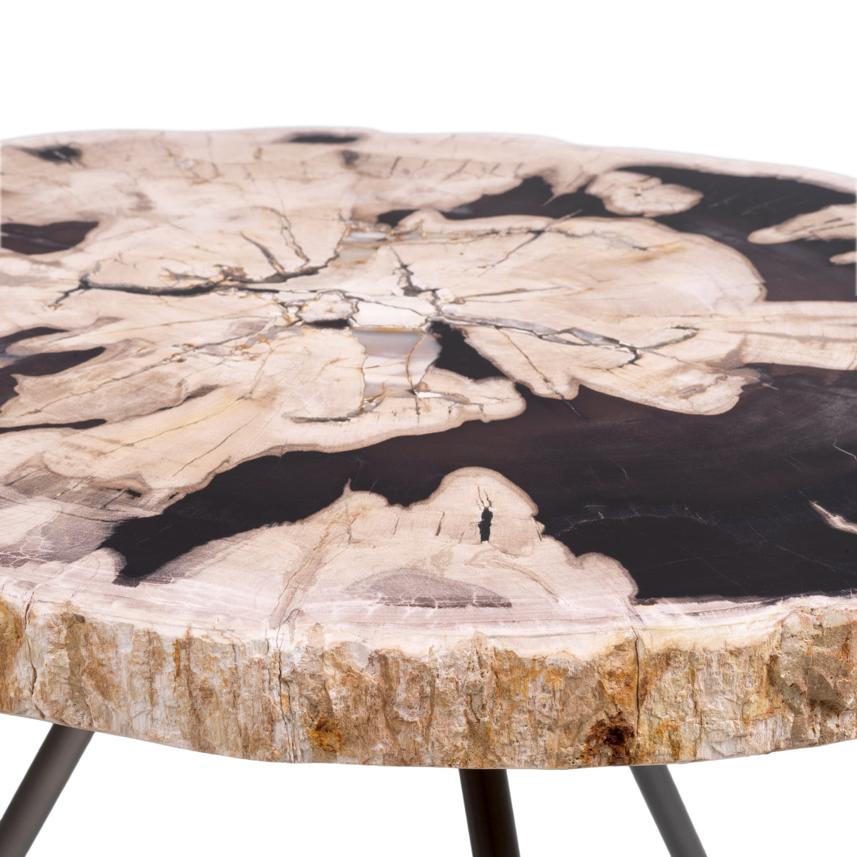 Eichholtz Living Coffee Table De Soto - Dark Range with Black Legs - Set of 3 House of Isabella UK