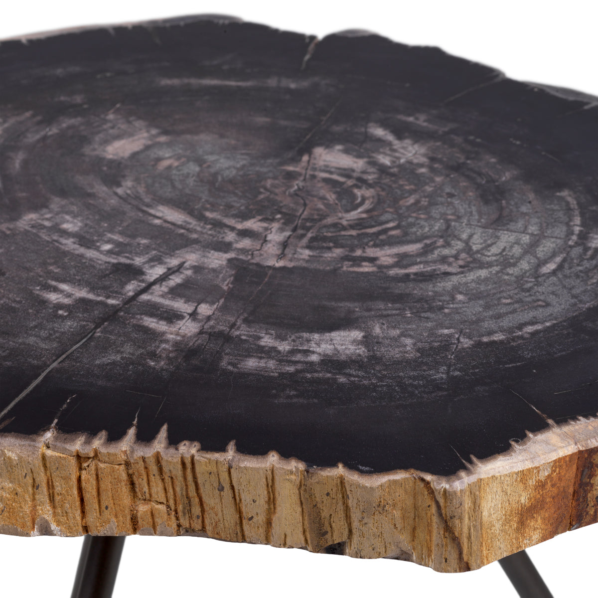 Eichholtz Living Coffee Table De Soto - Dark Range with Black Legs - Set of 3 House of Isabella UK