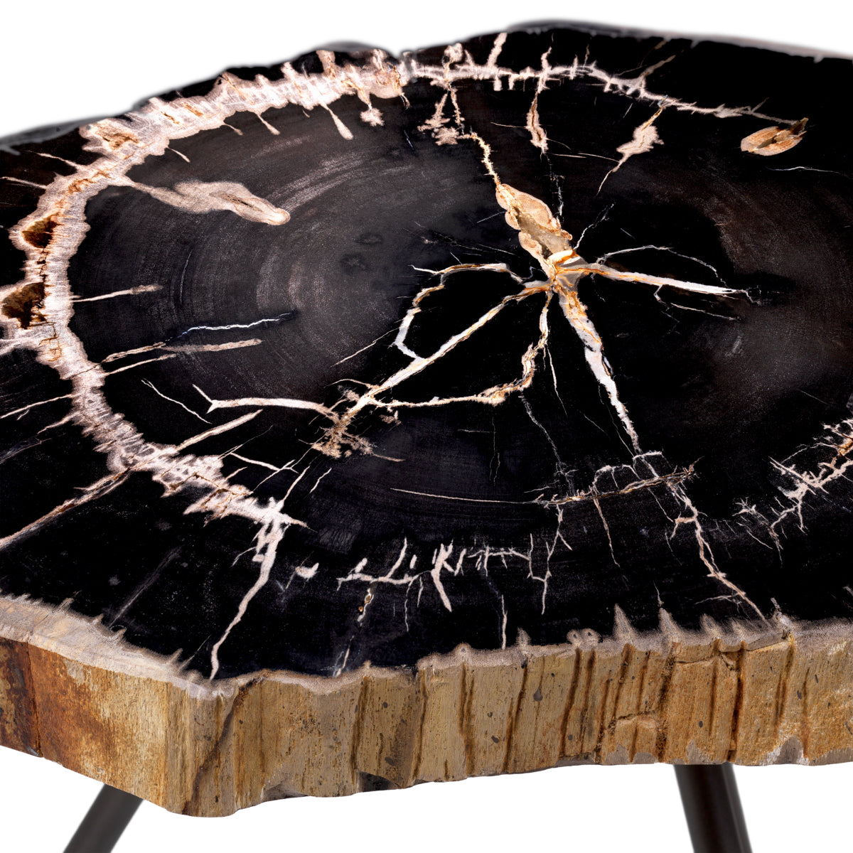 Eichholtz Living Coffee Table De Soto - Dark Range with Black Legs - Set of 3 House of Isabella UK