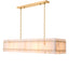 Eichholtz Lighting Chandelier Ruby rectangular House of Isabella UK