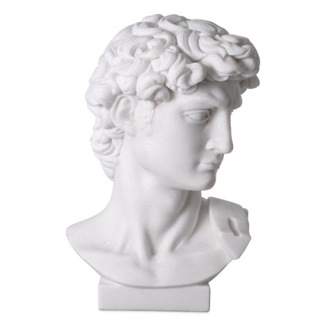 Head David