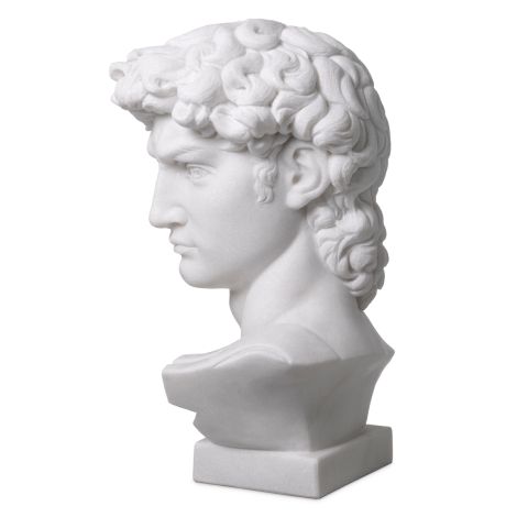 Head David