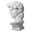 Head David