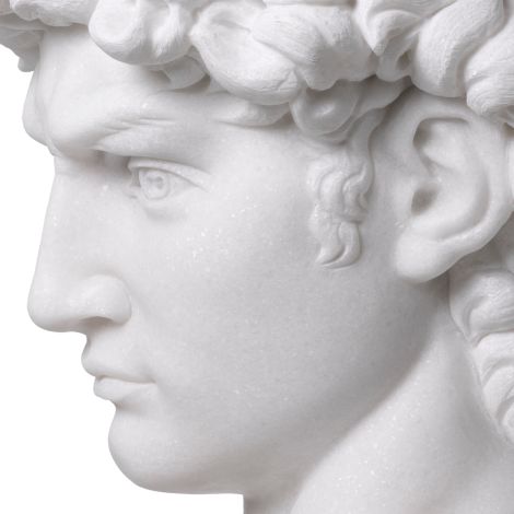 Head David