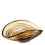 Eichholtz Accessories Bowl Pheadra S House of Isabella UK