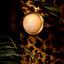 Eichholtz Lighting Wall Lamp Vigo House of Isabella UK