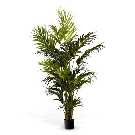 Artificial Plant Kentia Palm