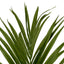 Artificial Plant Kentia Palm