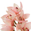 Bouquet of Cymbidium Orchids real touch 36 pcs