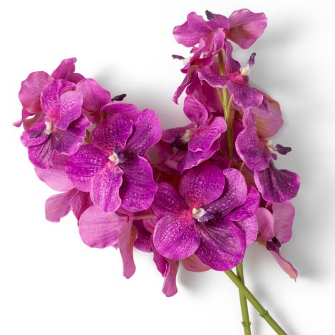 Bouquet of Vanda Orchids real touch 24 pcs