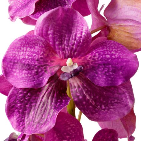 Bouquet of Vanda Orchids real touch 24 pcs
