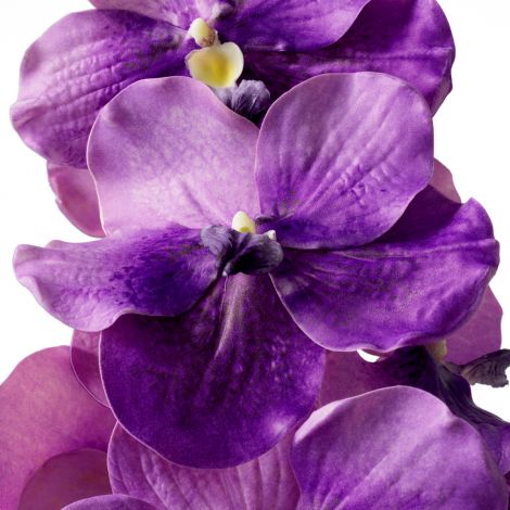 Bouquet of Vanda Orchids real touch 24 pcs