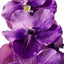 Bouquet of Vanda Orchids real touch 24 pcs