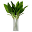 Bundle of Strelitzia leaves 36 pcs