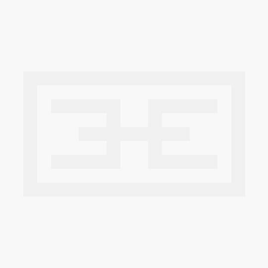 Bundle of Strelitzia leaves 36 pcs