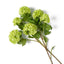 Bouquet of Hydrangeas snowball real touch 36 pcs