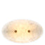 Wall Lamp Ellery