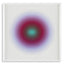 Print Circle from Boissiere by Henri Boissiere