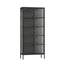 Addison Black Metal and Fluted Glass Door Tall Cabinet