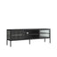 Addison Black Metal and Fluted Glass Door Media Unit