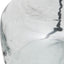 Avani Clear Glass Bottle Table Lamp