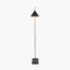 Zeta Matt Black and Antique Brass Floor Lamp
