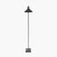Canton Matt Black and Brass Metal Cone Floor Lamp