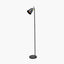 Theia Black and Brushed Brass Task Floor Lamp