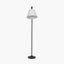 Ari Black Metal Curved Arm Floor Lamp