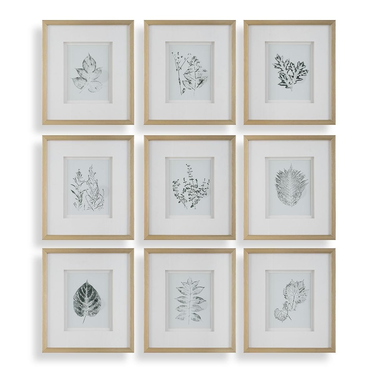 Nature's Script Framed Botanical Prints Set of 9