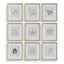 Nature's Script Framed Botanical Prints Set of 9