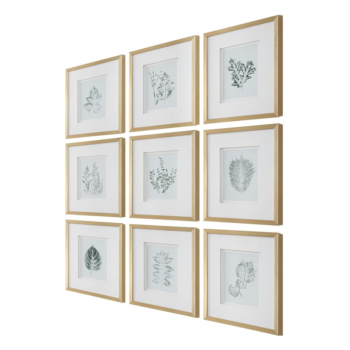 Nature's Script Framed Botanical Prints Set of 9