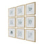 Nature's Script Framed Botanical Prints Set of 9