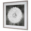 Uttermost Accessories Dandelion Seedhead Framed Print House of Isabella UK