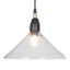 Canton Matt Black and Clear Glass Cone Pendant