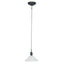 Canton Matt Black and Clear Glass Cone Pendant