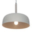 Anke Matt Grey Domed Metal Pendant