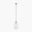 Abigail Clear Ribbed Glass Tall Pendant