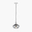Jaxon Shiny Smoked Glass Domed Pendant