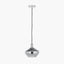Jaxon Shiny Smoked Glass Domed Pendant