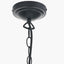 Ari Black Metal Curved 5 Arm Pendant