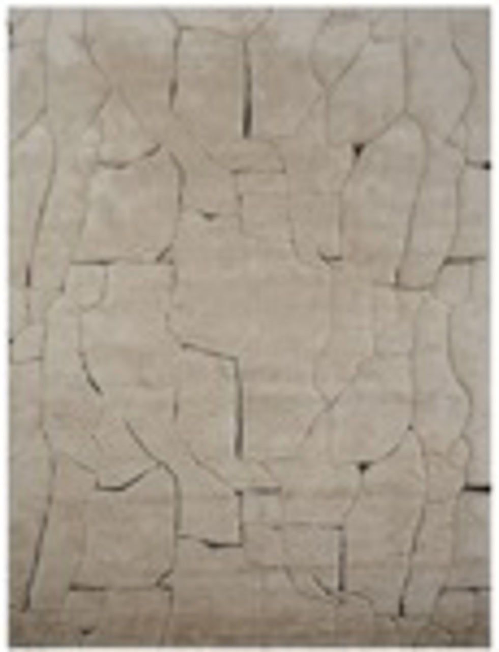 Carpet Bhawan brown 200x300