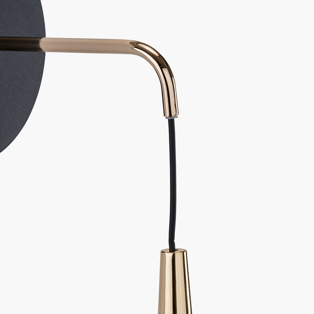 Astarion Matt Black and Gold LED Wall Light