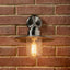 Lilium Brushed Steel Metal and Glass Fisherman Wall Light