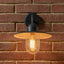 Lilium Dark Grey Metal and Glass Fisherman Wall Light