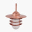 Centauri Copper Metal and Opaque Glass Wall Light