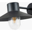Carina Dark Grey Metal Outdoor Wall Light