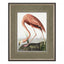 Vintage Flamingo Framed Art Small