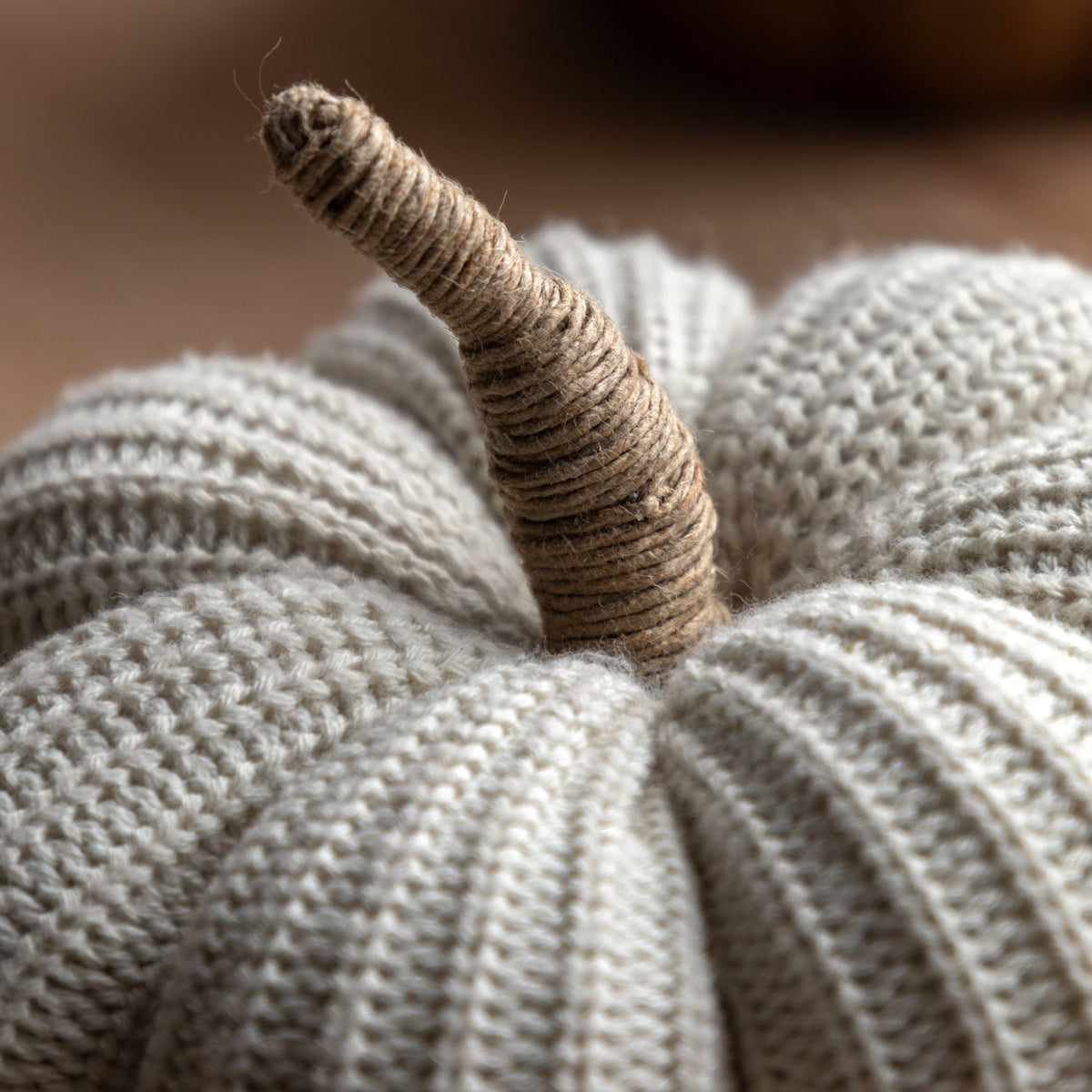 Knitted Pumpkin Cream